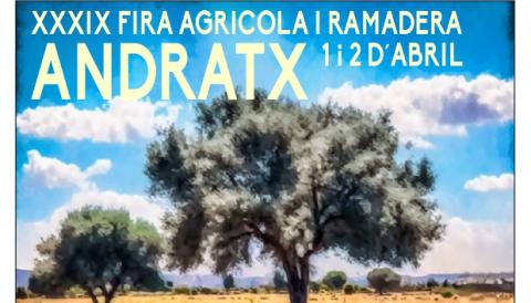 fira d'Andratx