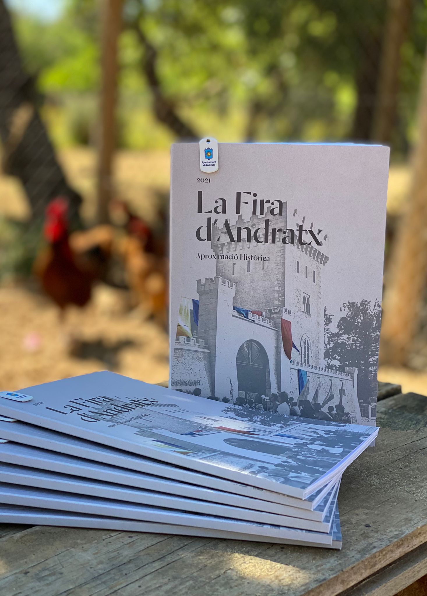 llibre fira