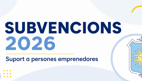 Subvenciones 